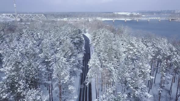 Establishing Shots Drone Flight Over the Road in the Pine Forest Overlooking the Bridge City and