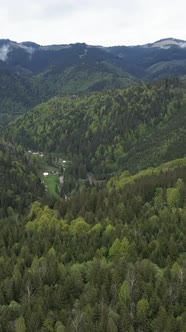 Carpathian Mountains alt