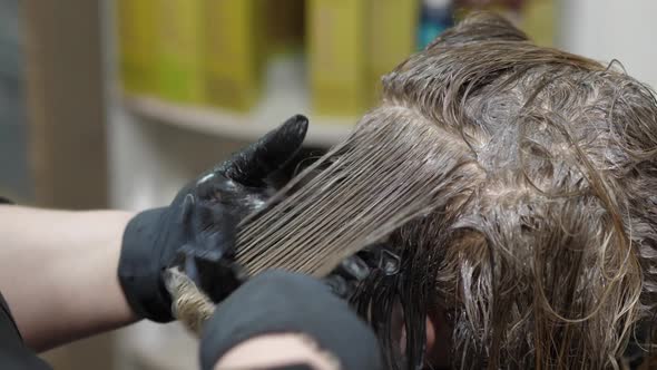 Combing Coloring Hair alt