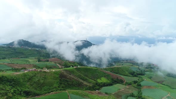 Scenic Drone Footage Of Cabbage Plantation With Foggy Weather In Background alt