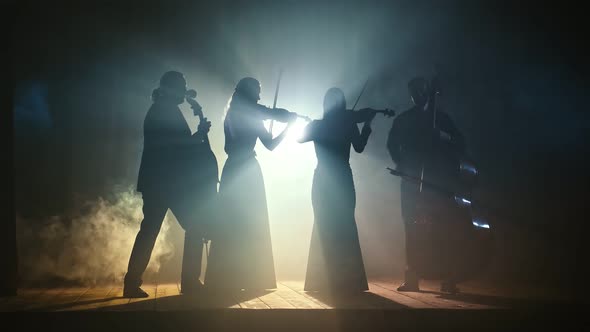 Silhouettes of a Group of Professional Musicians Playing the Violin Cello and Double Bass alt