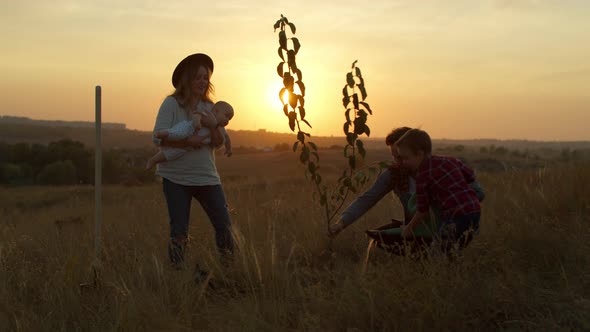 Family Planting Tree at Sunset in Countryside