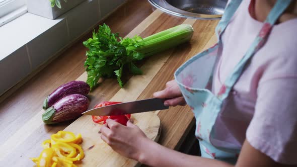 Mixed race lesbian couple and daughter preparing food in kitchen alt