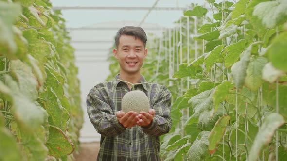 Asian Farmer Holding Melon And Smiles To Camera In Green House Of Melon Farm alt