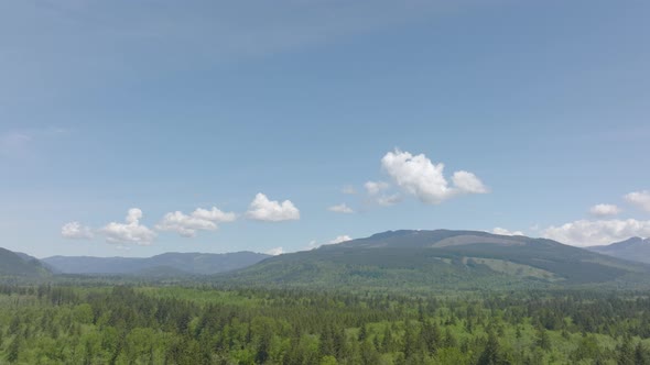 Aerial of gorgeous Bellingham, Washington landscape with a boom down to trees and the rest stop belo alt
