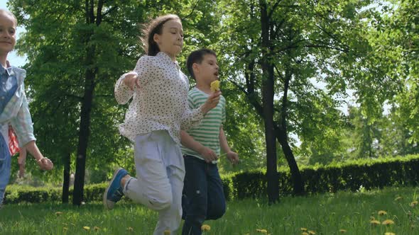 Delightful Childhood  alt