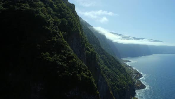 Jungle of Madeira on the Coast alt