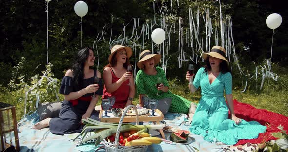 Girls At A Picnic Have Fun Singing With A Glass Of Wine alt