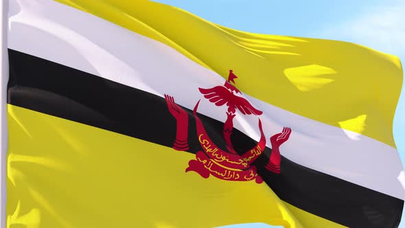 Brunei Flag Looping Background