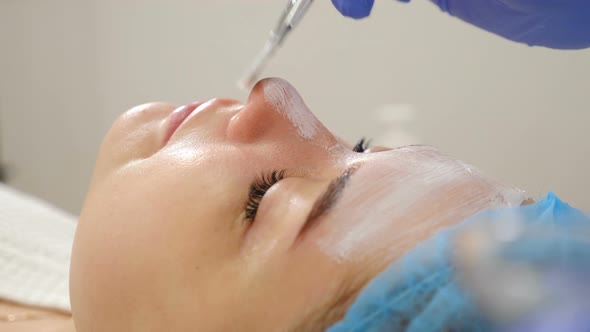 Professional Beautician Applying Face Cream Mask with Brush. Beauty Clinic. Young Woman Getting alt