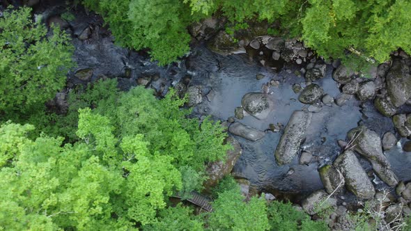 Aerial View of a Stream in the Forest in Rhodope Mountains Near the Town of Devin alt