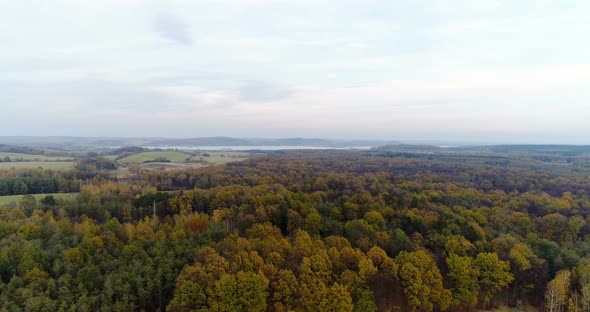 Aerial View of Forest in Autumn alt