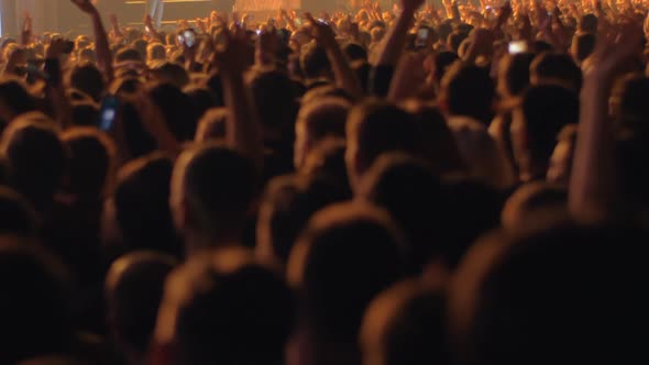 Crowd of fans enjoying concert of favourite music band alt