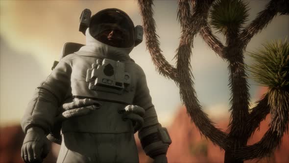 Astronauth in the High Desert of Nevada alt