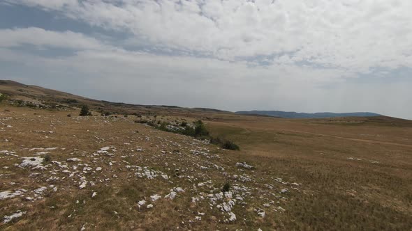 Aerial Fpv Drone Shot of a Herd of Wild Horses Running on a Green Spring Field at the Sunset alt