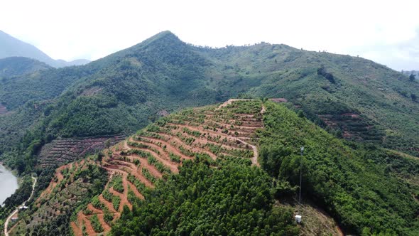 Aerial, hill slope deforestation for agriculture farm field in Southeast Asia alt