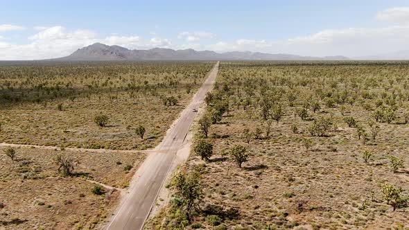 Aerial View of Endless Desert Straight Dusty Asphalt Road in Joshua Tree Park. USA. alt
