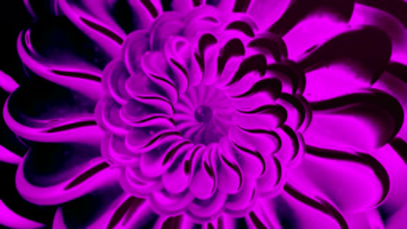 Surrealistic Pink Breathtaking Opened Flower Bud Creating an Optical Illusion Effect Seamless Loop alt
