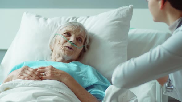 Elderly Woman Lying on Hospital Bed and Talking with Doctor alt