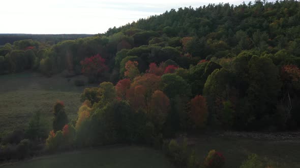 Beautiful fall autumn leaves colorful mountain vista aerial in new england USA alt