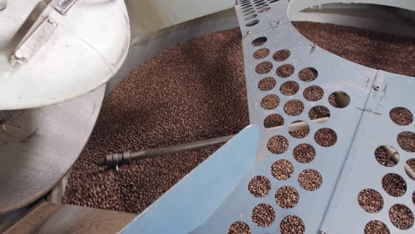 coffee beans falling from a large roasting oven in a coffee factory alt