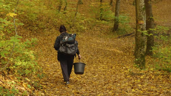 An elderly woman mushroom hunter with a backpack on her back and a bucket in her hand alt