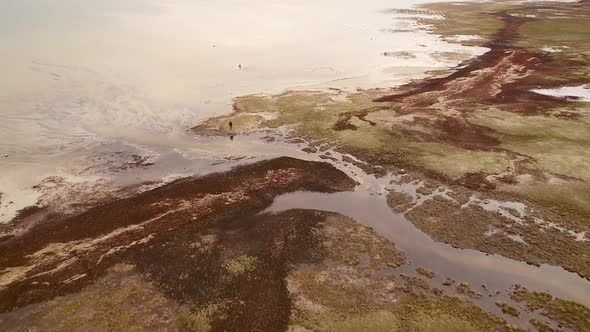 Aerial view of person staying at seaside in algae bloom on the island of Vormsi in Estonia. alt