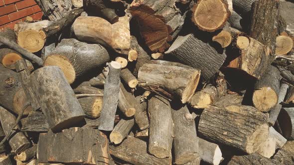 A Heap of Sawn Logs alt