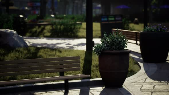 Empty Public Park During Curfew Cause of Corona Virus Quarantine alt