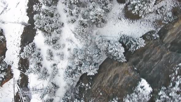 Drone footage of snow-covered trees and frozen river in the mountains in Kananaskis, Alberta, Canada alt