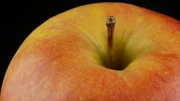 Red apple Florina variety alt