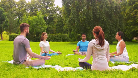 Group of People Doing Yoga at Summer Park alt