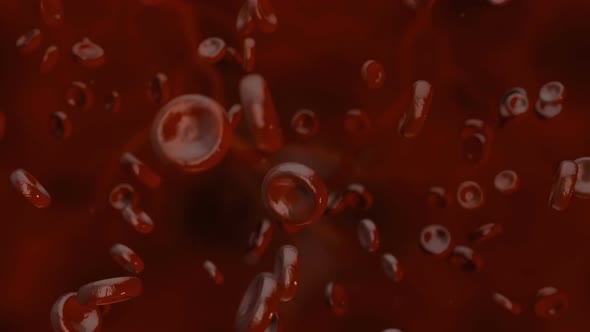 Red Blood Cells Traveling In The Human Body alt