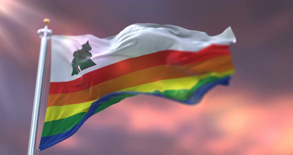 Santa Cruz County Flag, United States alt