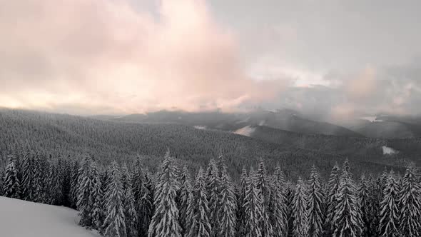 Aerial Winter Pine Forest and Cabin Hut at Sunrise alt
