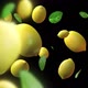 Alpha Channel Lemons - VideoHive Item for Sale