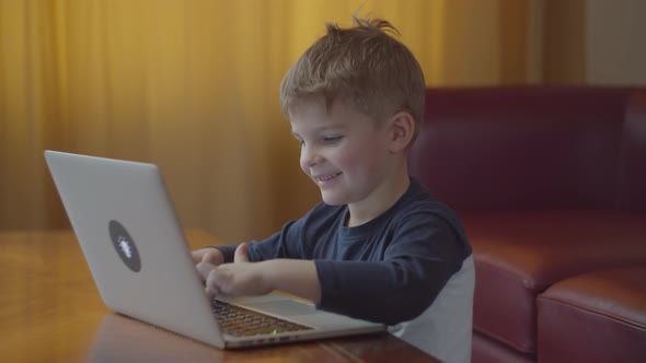 Blonde preschool boy typing on laptop and smiling looking at computer screen alt
