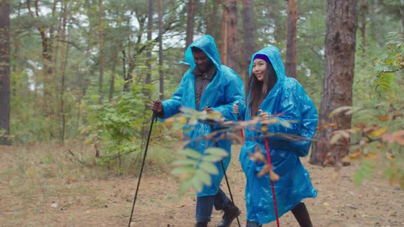 Two Hikers in Raincoats Backpacking in Rainy Wood alt