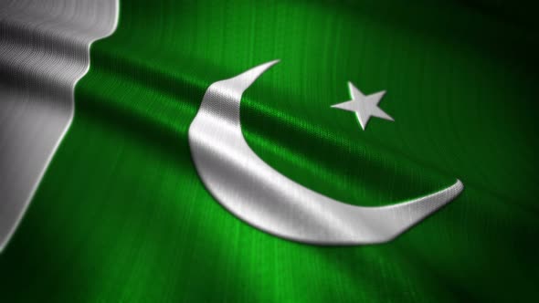 Pakistan Flag Seamless Loop alt