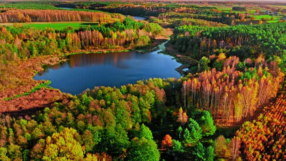 Stunning aerial view of autumn forest and small lake, Poland alt