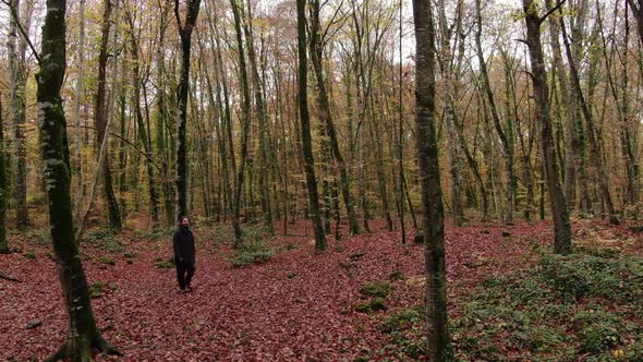 Hiker Man Walking Through the Forest in Autumn