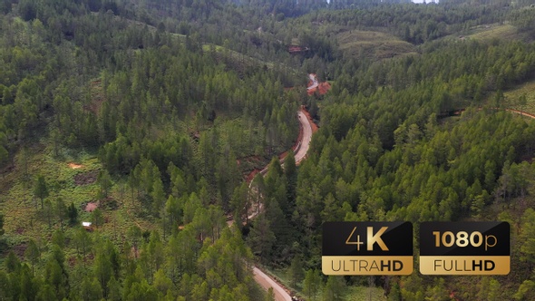 AH - Road in The Pine Forest 07 alt