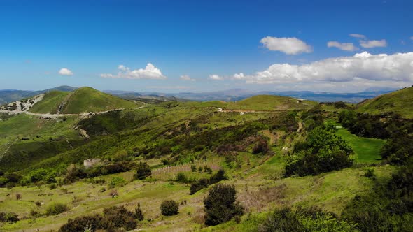 Beautiful Nature alt