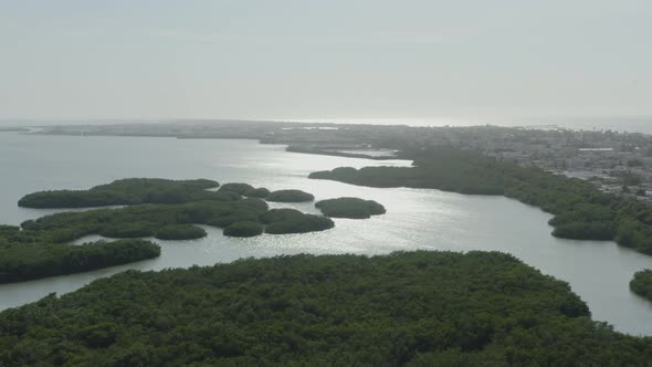 Aerial view over mangrove jungle in Yucatan Mexico near Puerto Progreso. alt