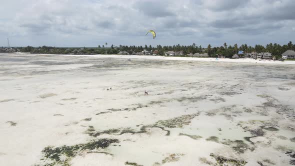 Zanzibar Tanzania  Kitesurfing Near the Shore Slow Motion alt