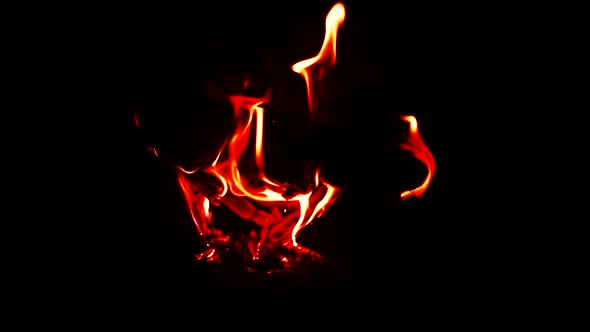 Brick Pizza Oven With Fire.Cooking Or Baking In Wood Fired Pizza Oven In Italian Pizzeria Restaurant alt