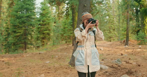 Woman Hiker in Forest Sunny Day, Traveler with Backpack Enjoying Outdoor Nature alt