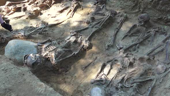 Mass Grave or Archaeological Excavations 4