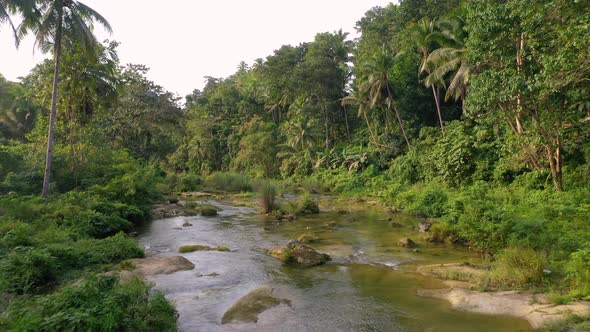Calm River and Rainforest in Philippines