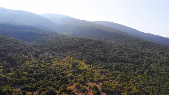 Aerial Drone View Flight Over Tree Forest in Mountain 